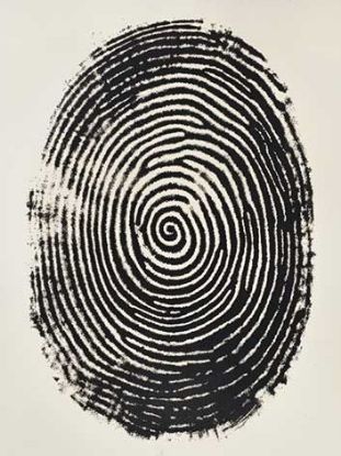 Picture of Fingerprints